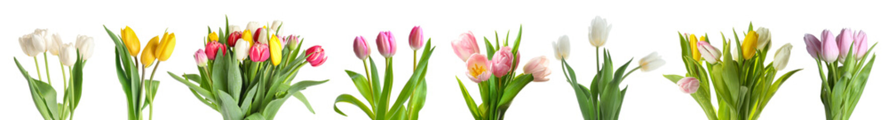 Fototapeta premium Set of beautiful bouquets of fresh tulips on white background