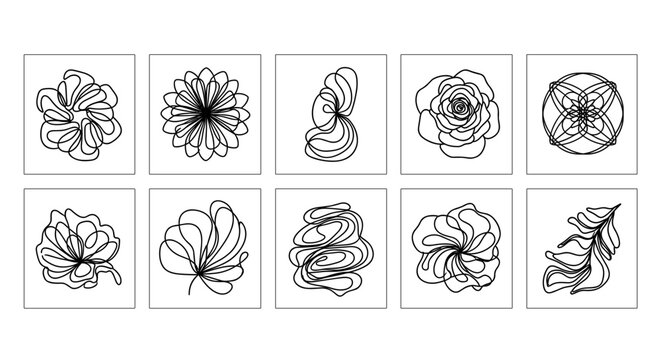 Collection of ten abstract floral and organic line art illustrations on white background
