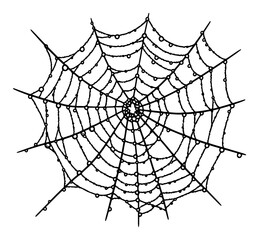 Obraz premium Hand drawn vintage engraving of a symmetrical spider web covered in dew drops