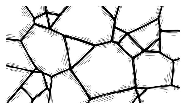 Vintage engraving of a cracked earth surface with large geometric cell patterns