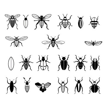 Collection of fifteen black and white icons representing various insects and invertebrates