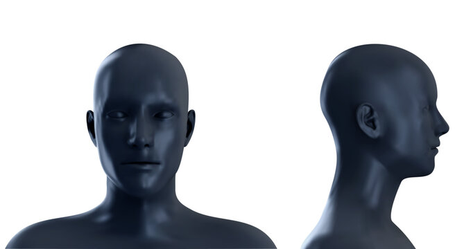 3D human head model displaying front and side views on clean white background. Minimalist vector illustration suitable for psychology, identity, anonymity, or robotic engineering themes.
