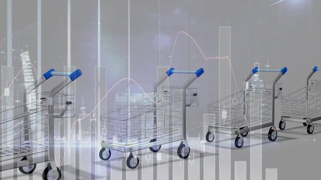 Animation of financial data processing over e shopping carts