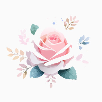 Zarte ros&eacute;farbene Rose