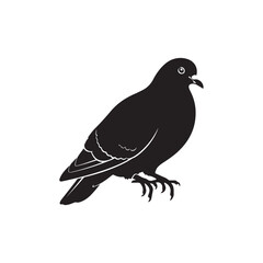 Fototapeta premium Black pigeon vector silhouette icon
