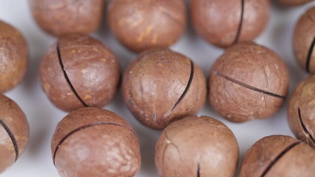Macadamia shell closeup. Image highlighting subtle sheen on macadamia shells. Highresolution photograph emphasizing intricate details and glossy surface of macadamia shells