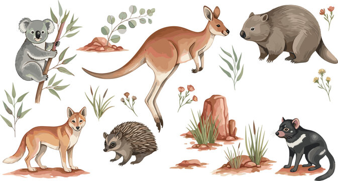 Australian Wildlife Animal Set Featuring Kangaroo Koala Wombat Echidna Dingo and Tasmanian Devil in Natural Habitat Illustration Style