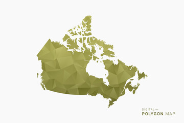 Naklejka premium Canada polygon map vector illustration in low poly geometric style, soft pastel colors with Olive green, clean silhouette on solid background, ideal for infographic.