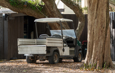 Utility golf cart with flatbed parked under large trees on a leafy dirt path near a wooden shed, a versatile electric vehicle for outdoor work or transport. © Michael