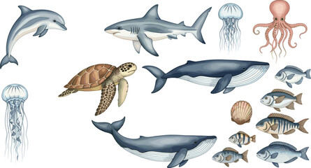 Ocean Marine Animal Collection Vector Illustration Featuring Whale Shark Dolphin Sea Turtle Octopus Jellyfish and Assorted Fish in Detailed Style © Kulsum