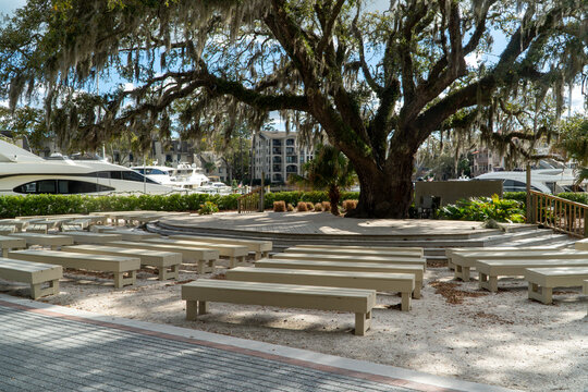 Picturesque outdoor amphitheater beneath a majestic Spanish moss-draped live oak tree, overlooking a vibrant marina filled with luxury yachts and modern waterfront architecture.