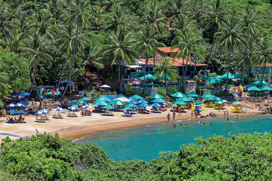 Calheta beach. A high-angle shot showcasing a lively tropical beach cove lined with dense coconut palm trees and lush green foliage. 