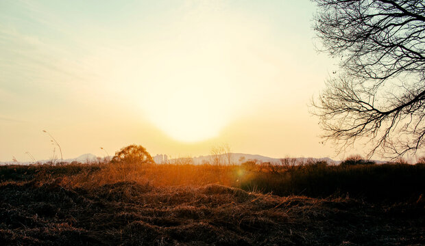 대구광역시 달성습지 (daegu dalseong wetland)