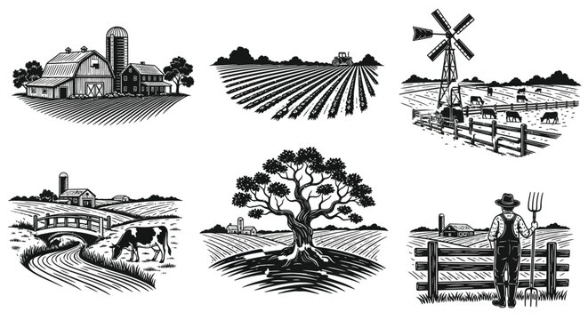 Vintage farm scene illustrations barns fields livestock and rural landscapes