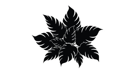 Black silhouette of monstera leaves arranged in a floral botanical composition © Ziaul_Studio