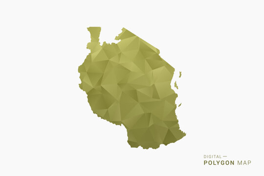 Tanzania polygon map vector illustration in low poly geometric style, soft pastel colors with Olive green, clean silhouette on solid background, ideal for infographic.