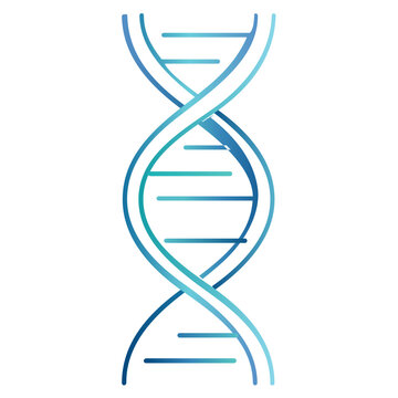 DNA Double Helix Genetic Line Icon with Blue Gradient. Modern thin line vector illustration of a human DNA double helix. Representing genetics, biotechnology, personalized medicine, and bio-hacking. 