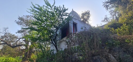 traditional Hindu temple shrine built into a rocky hillside surrounded by ancient trees and dense vegetation in a rural area © sumit