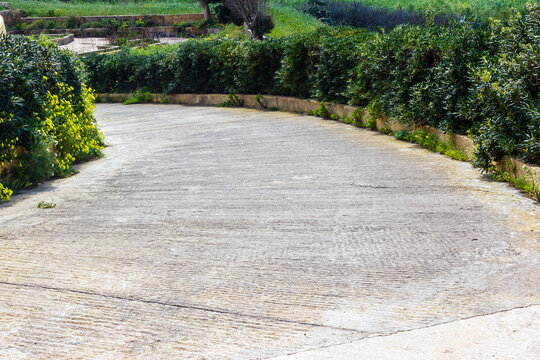 Curved Concrete Driveway Lined With Green Hedges And Yellow Wildflowers In Sunny Garden