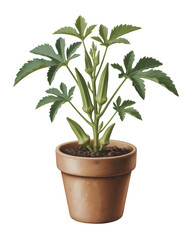 Obraz premium Green cannabis plant in terracotta pot isolated on transparent background