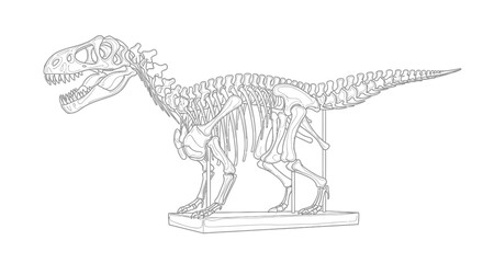 Dinosaur Skeleton Outline: Tyrannosaurus Rex Fossil Illustration © Azizi