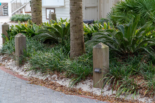 Tropical beach house landscaping featuring sandy beds with lush green foliage, sago palms, and sturdy wooden posts bordering a grey paver walkway, ideal for coastal garden designs.