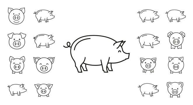 Pig with multiple small pig faces.