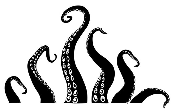 A group of octopus tentacles with suckers