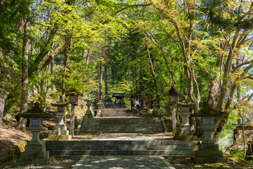 Obraz premium 高山市・日枝神社の参道と石段（岐阜県）