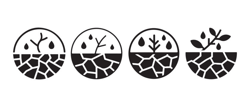 Plant growth progression from drought to thriving, watered on cracked earth, modern flat design vector illustration.