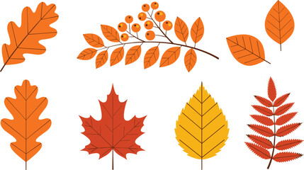 Naklejka premium Autumn Leaves Illustration Set with Maple, Oak, Birch, and Branches in Warm Orange Colors for Fall Season, Nature, and Decorative Design