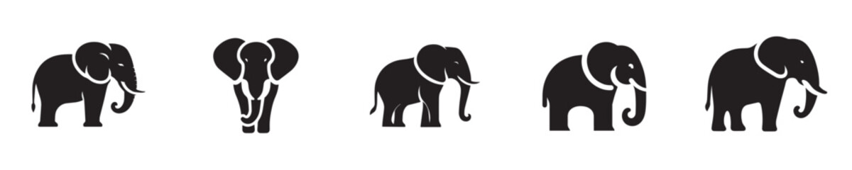 Fototapeta premium elephant vector with silhouette style