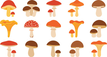 Mushroom Illustration Set with Various Forest Fungi in Flat Style for Nature, Autumn, Botanical, and Organic Food Design Projects © Roni