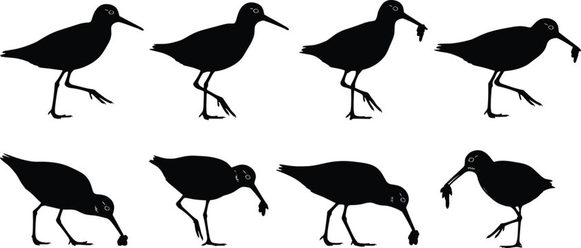Shorebird silhouettes set, sandpiper wading bird feeding, coastal wildlife illustration, migratory avian species, isolated vector elements for nature design projects.