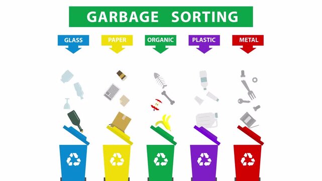 garbage waste sorting animation 2d video footage motion graphics 