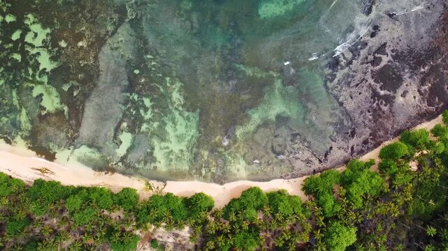 An aerial top-down video of clear turquoise water meeting a dark rocky shoreline and lush tropical forest on S&atilde;o Tom&eacute; Island, S&atilde;o Tom&eacute; and Pr&iacute;ncipe