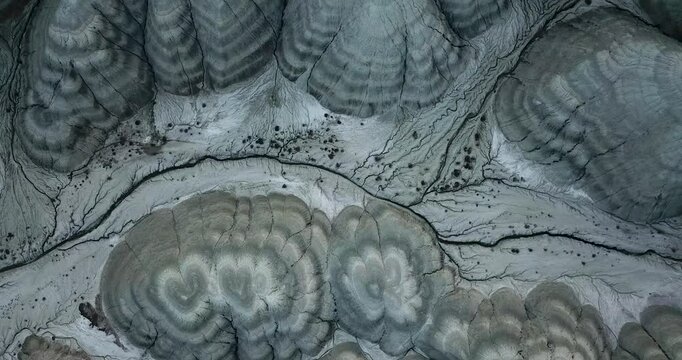 Detailed Geological Texture with Organic Natural Patterns