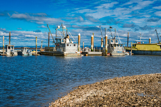 Port Of Willapa 5
