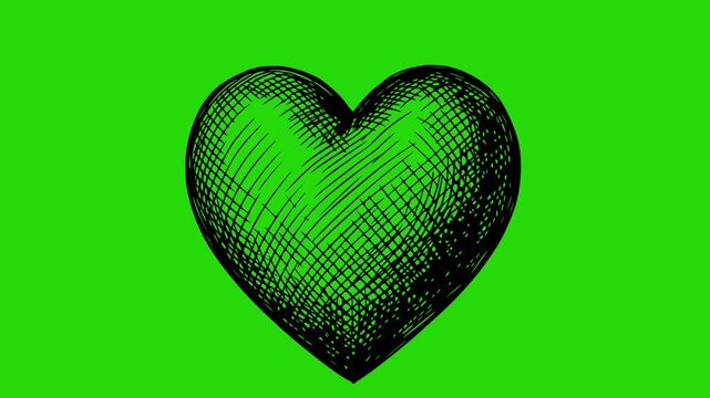 hand drawn heart animation in black fill style with cross hatching texture over green screen chroma key background for easy compositing and video editing