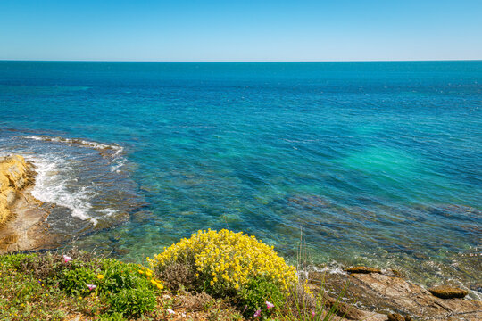 mar mediterr&aacute;neo en calma con sus aguas transparentes y un macizo de flores amarillas
