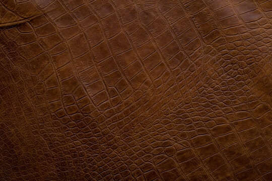 Leather texture shows detailed pattern from crocodile hide in a warm brown color on a flat surface in natural light