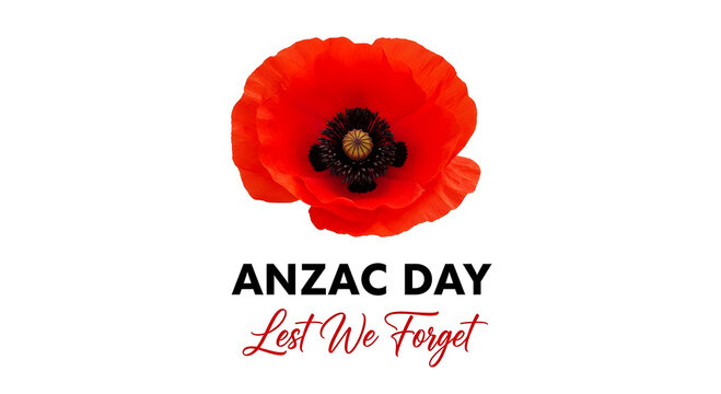 Red poppy flower with Anzac Day Lest We Forget text remembrance 1