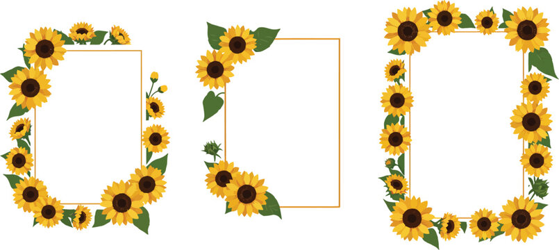Sunflower frame borders illustrations for photo or text