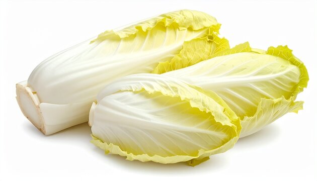 Belgian endive head, dense pale yellow leaves, cream gradient with subtle transparency