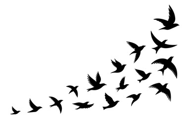 Fototapeta premium Silhouette birds flying in the sky isolated on a clean white background vector illustration, birds silhouette vector on a white background, bird, silhouette, flying, fly, wings