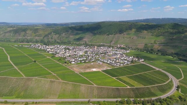 Trittenheim, Moselle Valley loop, Mosel river, aerial view, riesling wine growing on vine, vineyard landscape and agriculture in Germany