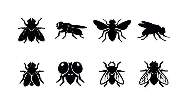 Fly insect icons: house fly top view, fly side view, fly with spread wings, fly landing silhouette, fly with folded wings, fly with large eyes, fly outline silhouette, fly with