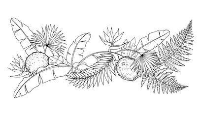 Hand drawn tropical foliage pattern with palm banana and fern leaves Hawaii style vector illustration © Sabbir