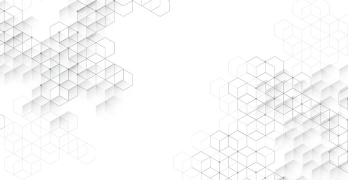 Abstract boxes background. Modern technology with square mesh. Geometric on white background with lines. Cube cell. Vector illustration