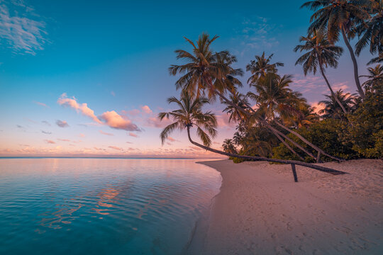Tropical island beach with palm trees and turquoise ocean, soft sunset light, idyllic paradise destination, serene summer travel landscape